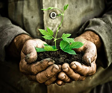 Ambiental